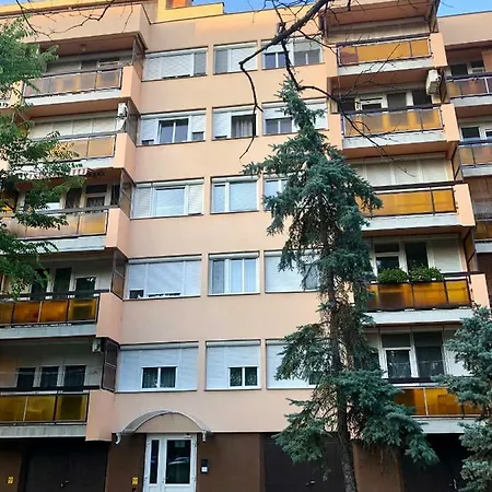 Mikszath Street Apartman *