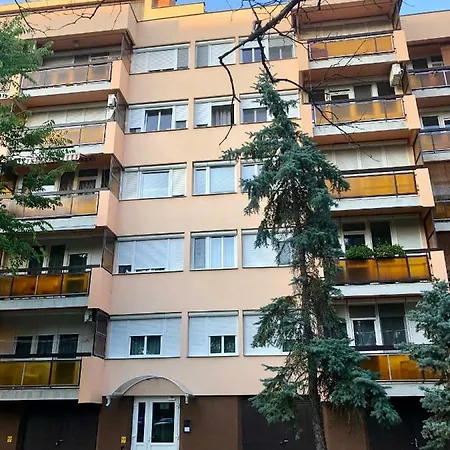 Mikszath Street Apartman *